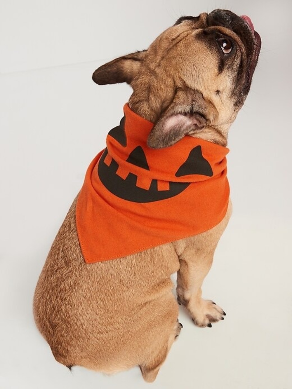 NWT Old Navy L/XL Orange Pumpkin Dog Bandana